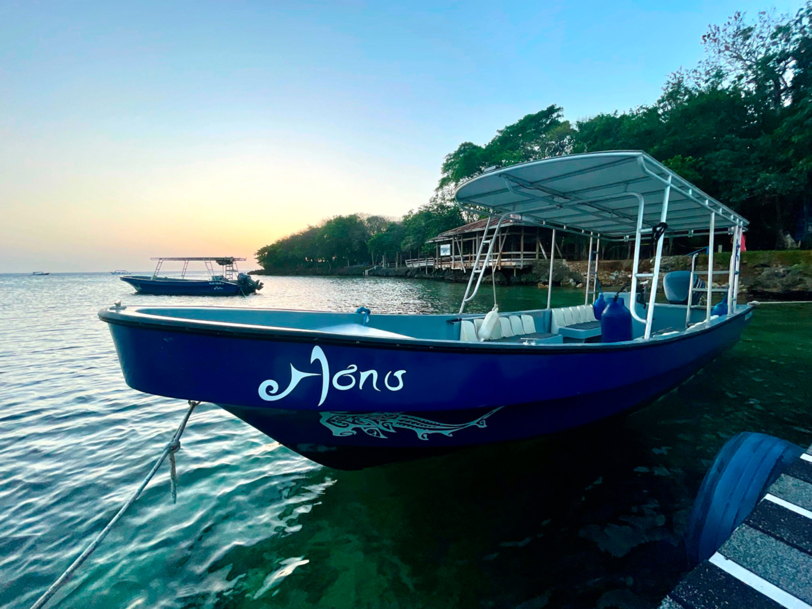 Moana Diver Roatan Halfmoon