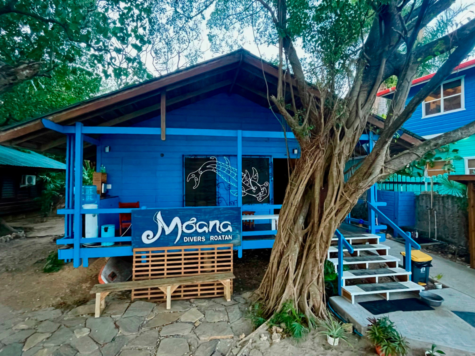 Moana Diver Roatan Halfmoon