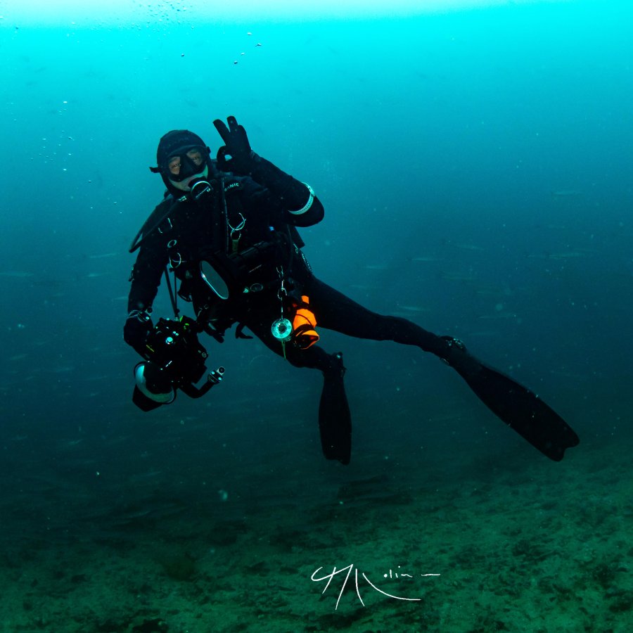 Zoom to Divers fotographer from Moana Divers
